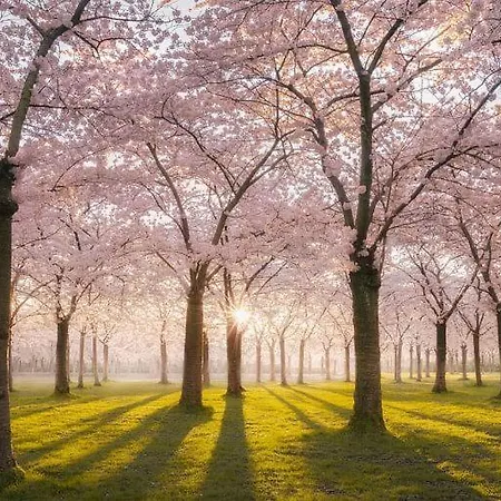 Casa de hóspedes At The Amstel River With 2br 2ba And Garden Amstelveen