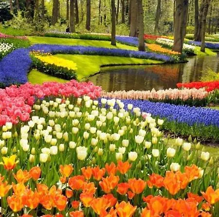 At The Amstel River With 2br 2ba And Garden Casa de hóspedes Amstelveen