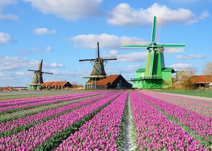 At The Amstel River With 2br 2ba And Garden 招待所