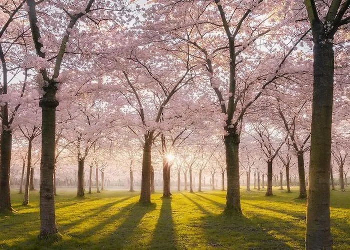 招待所 At The Amstel River With 2br 2ba And Garden 阿姆斯特尔芬