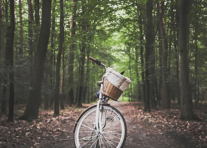 At The Amstel River With 2br 2ba And Garden 3*