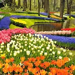 At The Amstel River With 2br 2ba And Garden Guest house Amstelveen